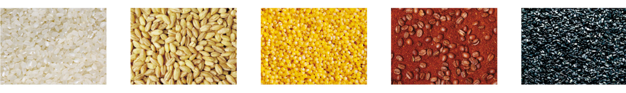 Sistema de embalaje y pesaje semiautomático de dos salidas Two outlet semi auto weighing and packaging system