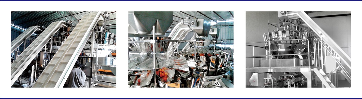 202108031627964228101133.jpg 2.jpg